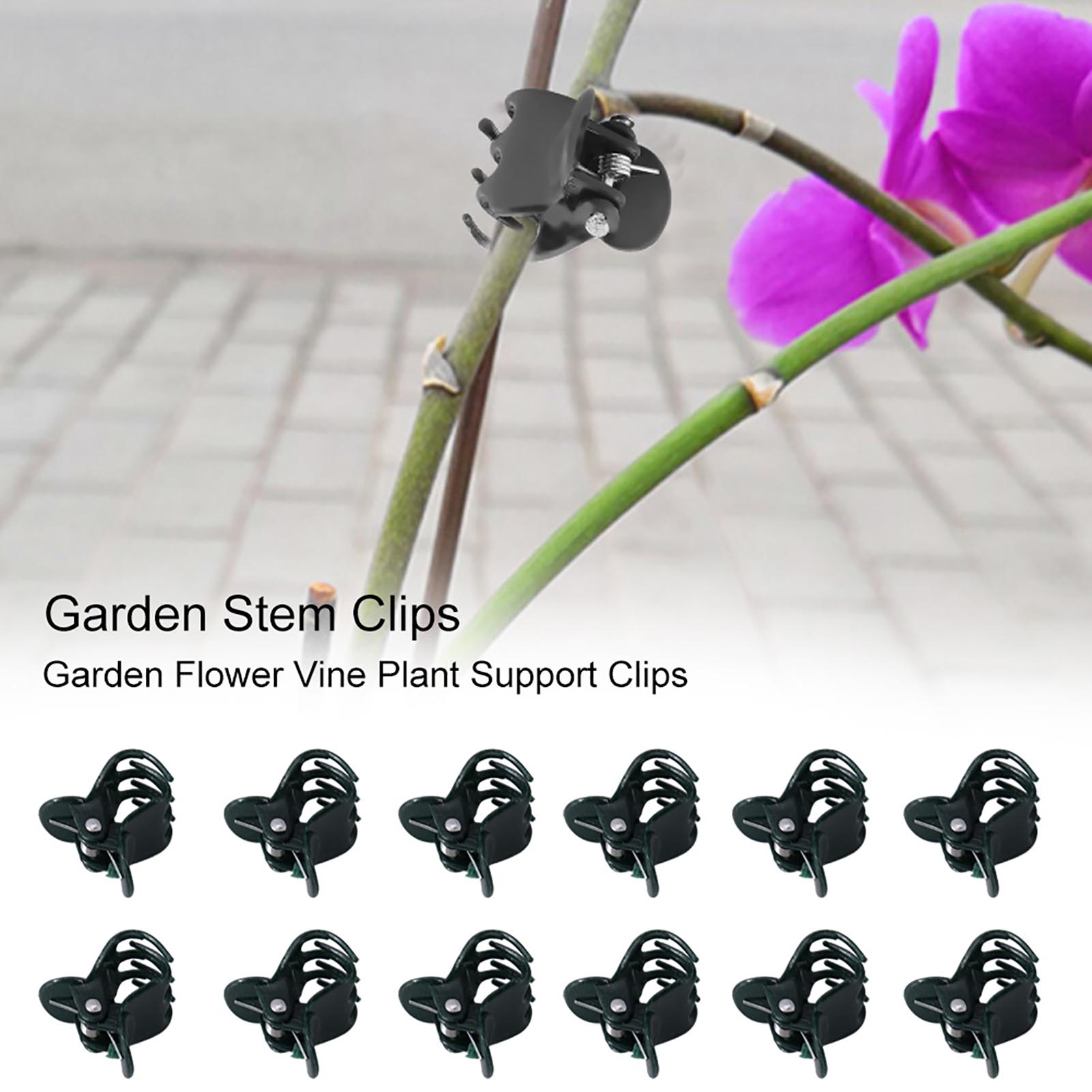 Florist Supply Bulk - ミニガーデンフラワークリップ、蘭、デイジー、茎の植物サポート、良好な状態で成長、100個